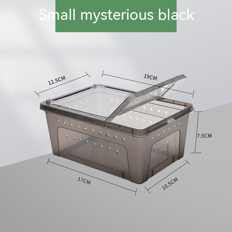 Silkworm Feeding Pet Box Turtle Jar - الصورة 6