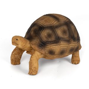 Resin Ornamental Figurine For Pet Turtle Tanks, Designed To Mimic A Brazilian Turtle Habitat