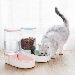 Pet dog automatic feeder microphone dog automatic drinking fountain