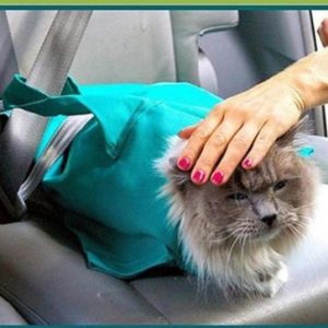 Pet Cat Breathable Outdoor Travel Shoulder Bag Sling Carrier For Puppy