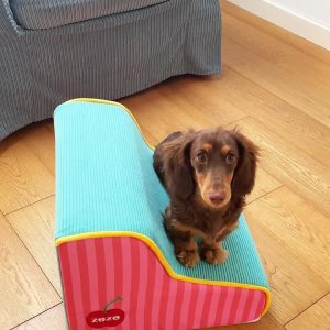 Pet Stairs Step Small Removable And Washable Sponge