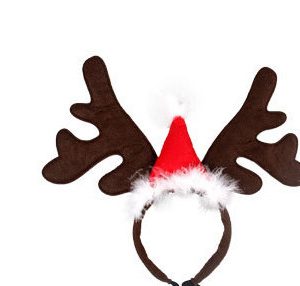 Christmas pet cat dog hat