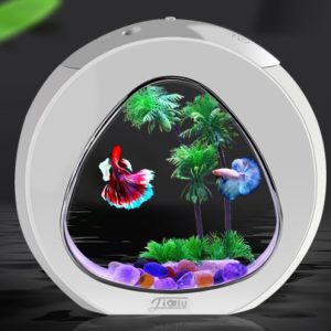 Desktop fish tank aquarium