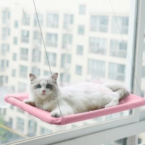 Suction Cup Hanging Bed For Summer Sunbathing Swing Cat Supplies