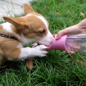Dog Water Bottle Portable Pet Water Bottle Leak Proof Dog Water Dispenser And Food, Lightweight Dog Travel Water Bottle Bowl For Walking And Travel