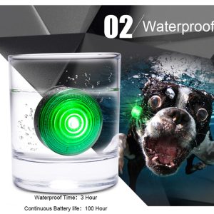 Dog anti-lost night light