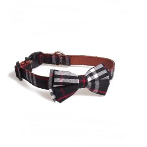 Bowknot traction collar