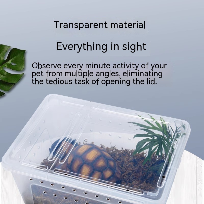 Silkworm Feeding Pet Box Turtle Jar - الصورة 2