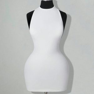 Sheer Low-cut Backless Hip-hugging Dress