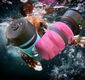 Pet Outdoor Foldable Bottle Dog Travel Water Bottle Dog Water Dispenser