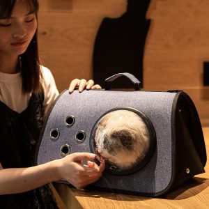 Go Out Portable Pet Cat Messenger Portable Cage