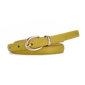 Clothing Decorative Pin Buckle Belt