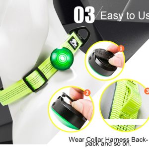 Dog anti-lost night light