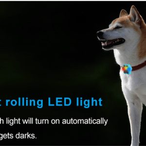 Dog Pet Collar Anti Loss Locator