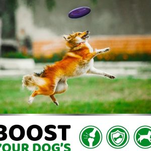 Pet Hip & Joint Supplement Chondroitin Soft Particles