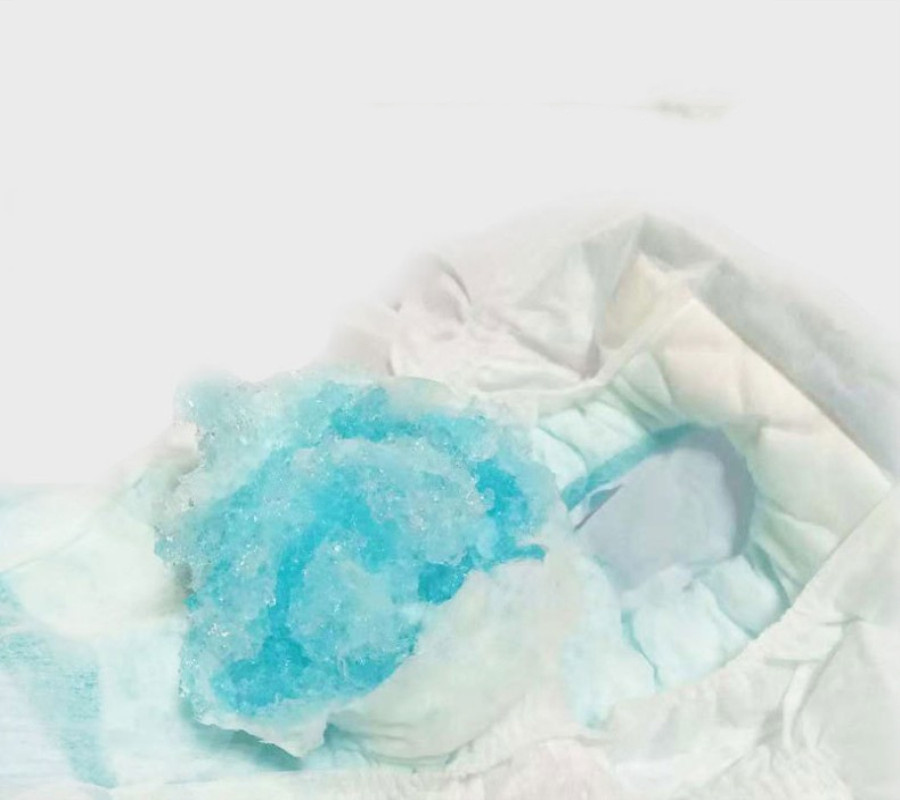 Diapers Pet Diapers Menstrual Pants Bitches - الصورة 4