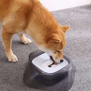 Pet Dog Bowl Floating Not Wetting Mouth Cat Bowl No Spill Drinking Water Feeder