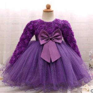 Long-sleeved girls dress rose children's wedding dress skirt
