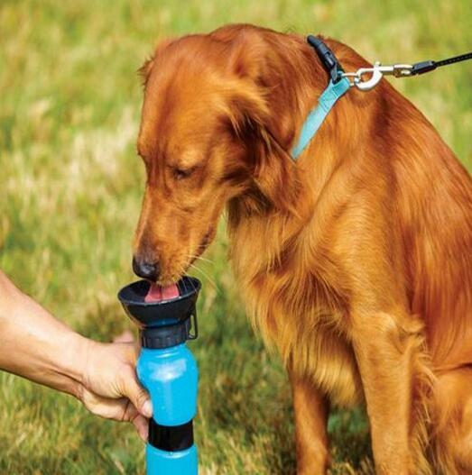 Portable Water Bottle Drinker For Pet Dogs - الصورة 4