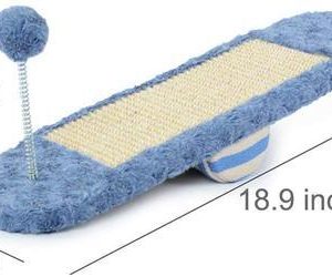 Cat kitten, seesaw toy