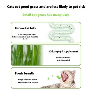 Lazy Cat Grass Canned Hydroponic Soilless Depilation Ball Digestive Snacks