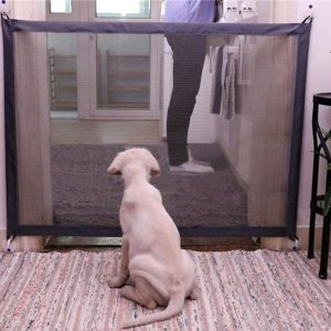 The dog obstacles security fence