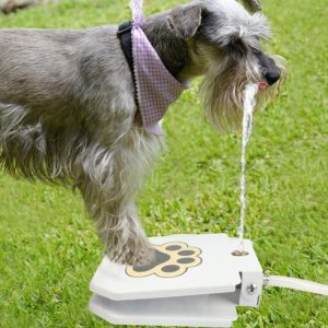 Outdoor Dog Pet Water Fountain