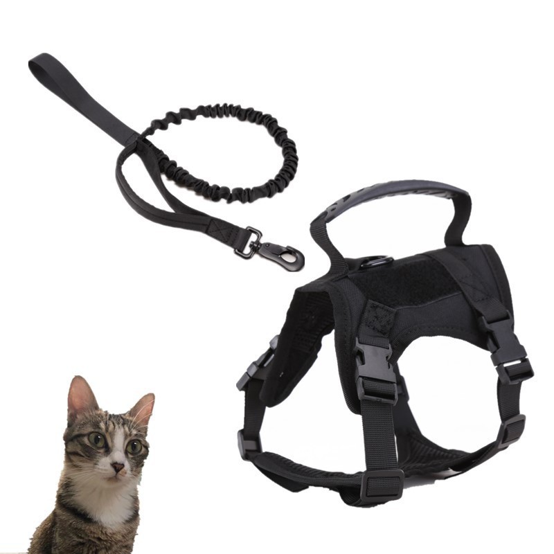 Cat Chest Strap Vest Hand Holding Rope - الصورة 10