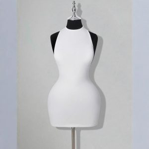 Sheer Low-cut Backless Hip-hugging Dress