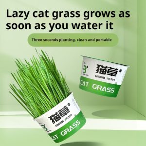 Lazy Cat Grass Canned Hydroponic Soilless Depilation Ball Digestive Snacks