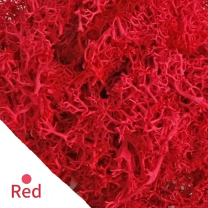 Eternal Life Moss DIY Crafts Grass 20/40/100g Artificial Green Plants  Home Room Garden Decor Mini Landscape Fake Grass