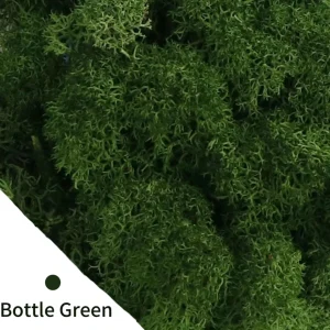 Eternal Life Moss DIY Crafts Grass 20/40/100g Artificial Green Plants  Home Room Garden Decor Mini Landscape Fake Grass