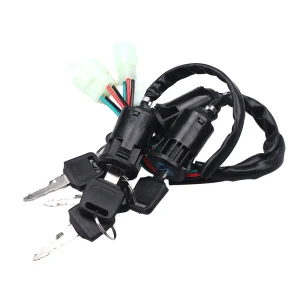 2 Wires/4 Wires Ignition Switch with 2 Keys On-Off Lock For Electrical Scooter ATV Motorcycle Motorbike ATV Quad Dirt Bike Parts