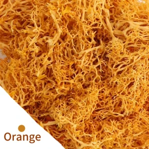 Eternal Life Moss DIY Crafts Grass 20/40/100g Artificial Green Plants  Home Room Garden Decor Mini Landscape Fake Grass