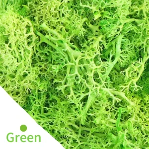 Eternal Life Moss DIY Crafts Grass 20/40/100g Artificial Green Plants  Home Room Garden Decor Mini Landscape Fake Grass
