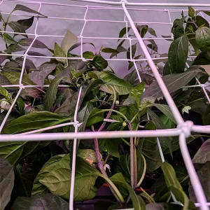 4'' Mesh Grow Tent Trellis Netting, Heavy-Duty Elastic Plant Net with Steel Hooks, Flexible Hydroponics Support for Horticulture