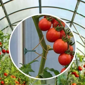 50 Pack Green/Black Plastic Greenhouse Hanging Hooks Plant Flower Hanger Clips Garden Accessories Fastener Tied Buckle