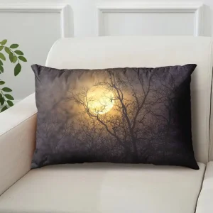 Internet-Famous Moon Pillow with Starry Night Scene, Single-Sided with Core, Pillowcase, Cushion Cover