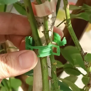 10-500Pcs Garden Plant Support Clips Secured Plastic Climbing Plant Clips Tomato Grape Vine Vegetables Plant Fixing Holders