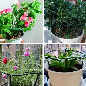 Plant Support Stakes Semicircle Trellis for Potted Plants Bonsai Vine Flower Support Fixed Rod Clips Gardening Tools 6-36Pcs