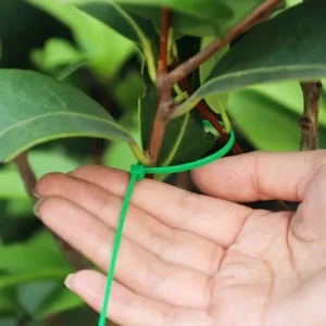 300/50PCS Self-locking Plastic Nylon Tie Green Cable Tie Fastening Ring Sealing Wraps Strap for Home Garden Plant Fasten Tools