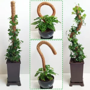 Bendable Moss Pole, Plants Climbing Support Extension Pole, Monstera Palm Vines Soporte Stakes, Garden Potted Plant Accessories