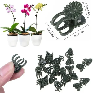 50/100PCS 6-Claw Dark Green Plant Clips Orchid Flowers Support Clamp Climbing Vine Stem Clasp Tied Bundle Branch Garden Tool