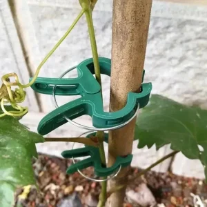100x Plant Fixed Clips Reusable Greenhouse Bracket forFixing Stems of Flower Vine Vegetables Tomatoes Fastener Garden Supplies