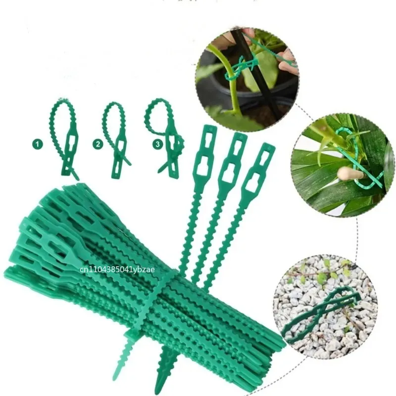 50-1000pcs Adjustable Plastic Plant Cable Ties Reusable Cable Ties for Garden Tree Climbing Support Plant Vine Tomato Stem Clip - الصورة 4
