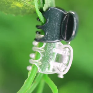 10-200PCS Plastic Plant Support Clips Orchid Stem Clip for Vine Support Vegetable Flower Tied Bundle Branch Clamping Garden Tool