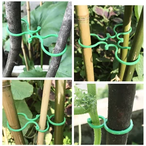 10/50/100Pcs Garden Vine Strapping Clips Plastic Plant Rattan Climbing Wall Fixture Buckle Tomato Grapevine Hook Support Tool
