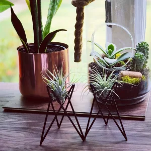 1Pcs Creative Plants lron Bracket Indoor Air Pineapple Green Soilless Potted BlackWhite Desktop stent Home Garden Supplies