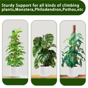 38/43/53CM Plant Climbing Coir Totem Pole Safe Gardening Coconut Stick For Climbing Plants Vines And Creepers Plant Support