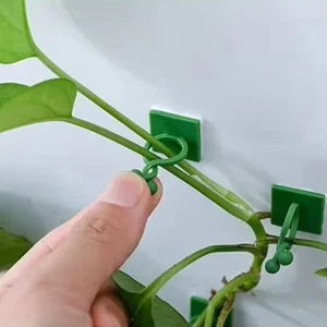 Plant Vine Traction Holder Invisible Plant Climbing Wall Fixture Clips Self-Adhesive Hook Indoor Outdoor Twisted or Fastened